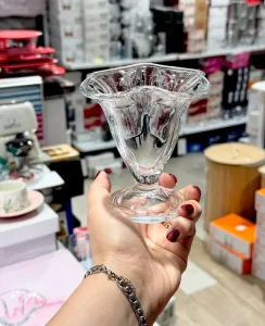 بستنی خوری 2عددی پاشاباغچه کد 51068