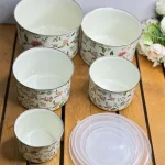 ظروف لعابی 5 تایی وارداتی کد vt3832