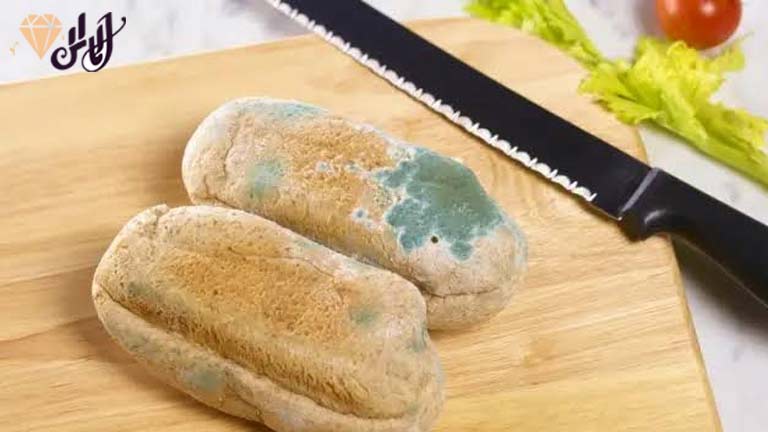 چگونه از کپک زدن نان جلوگیری کنیم؟