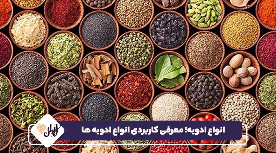 انواع ادویه؛ معرفی کاربردی انواع ادویه ها